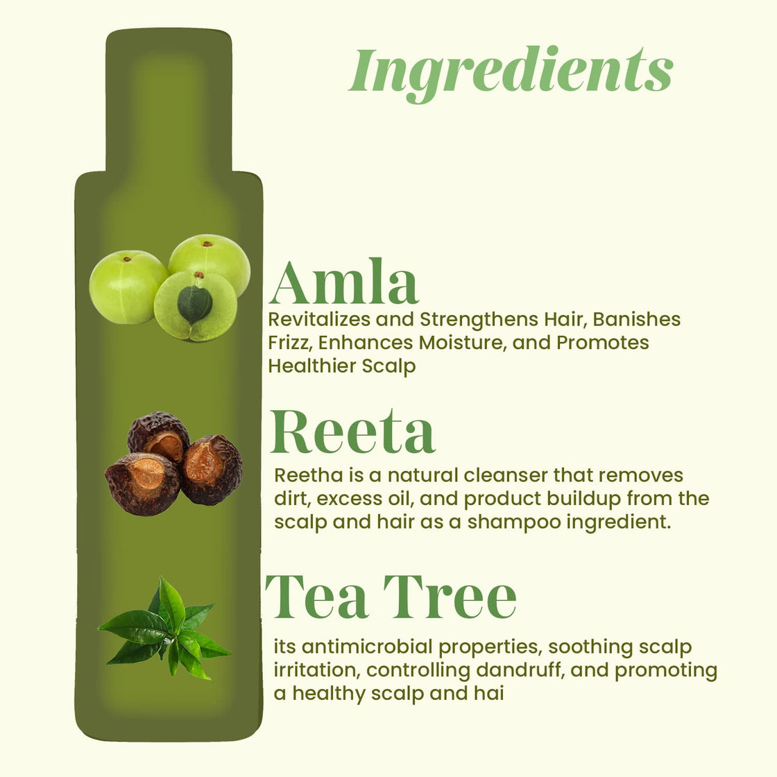 Tea Tree Ritha Amla Shampoo 200ml