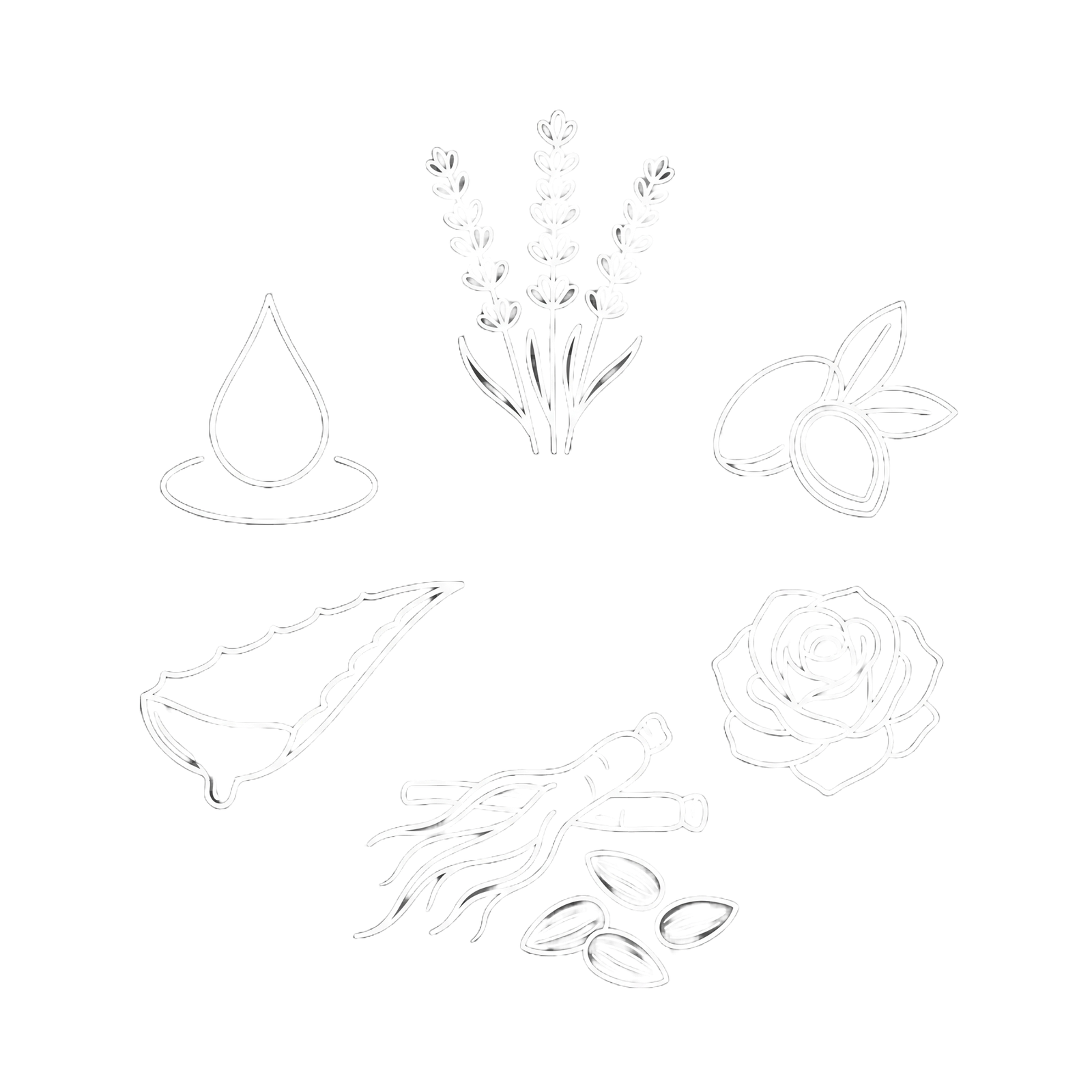PURE & TRUSTED INGREDIENTS