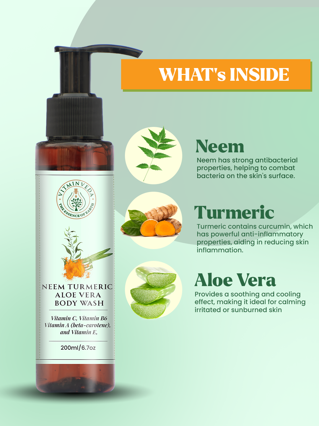 Neem Turmeric Aloe Vera Body Wash 200ml