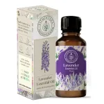 Lavender Essential Oil 10ml — View 18