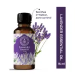 Lavender Essential Oil 10ml — View 16