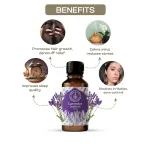 Lavender Essential Oil 15ml — View 3