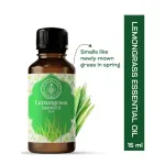 Lemongrass Essential Oil 10ml — View 16