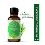 Lemongrass Essential Oil 10ml — View 19