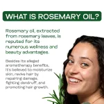 Rosemary Essential Oil 15ml — View 5