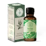 Tea Tree Essential Oil 10ml — View 13