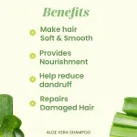 Aloe Vera Shampoo - 200ml