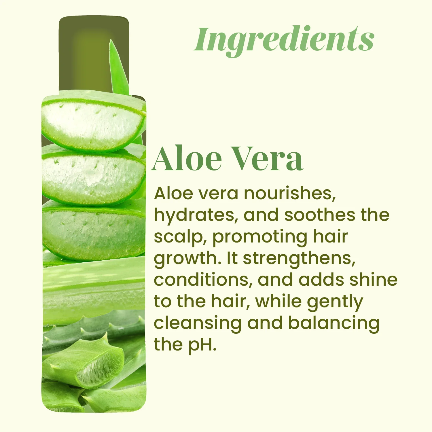 Aloe Vera Shampoo - 200ml - Image 4