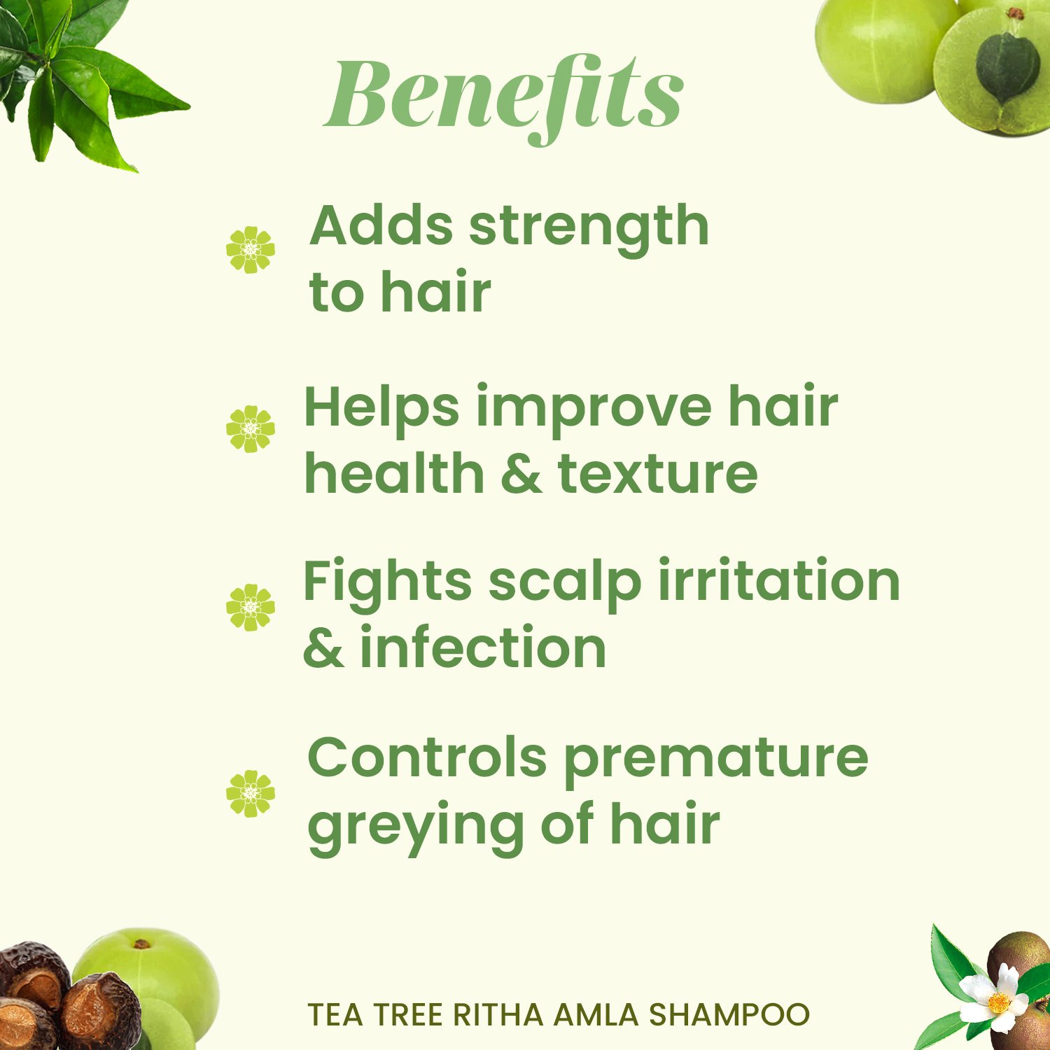 Tea Tree Ritha Amla Shampoo 200ml