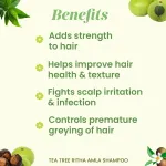 Tea Tree Ritha Amla Shampoo 200ml