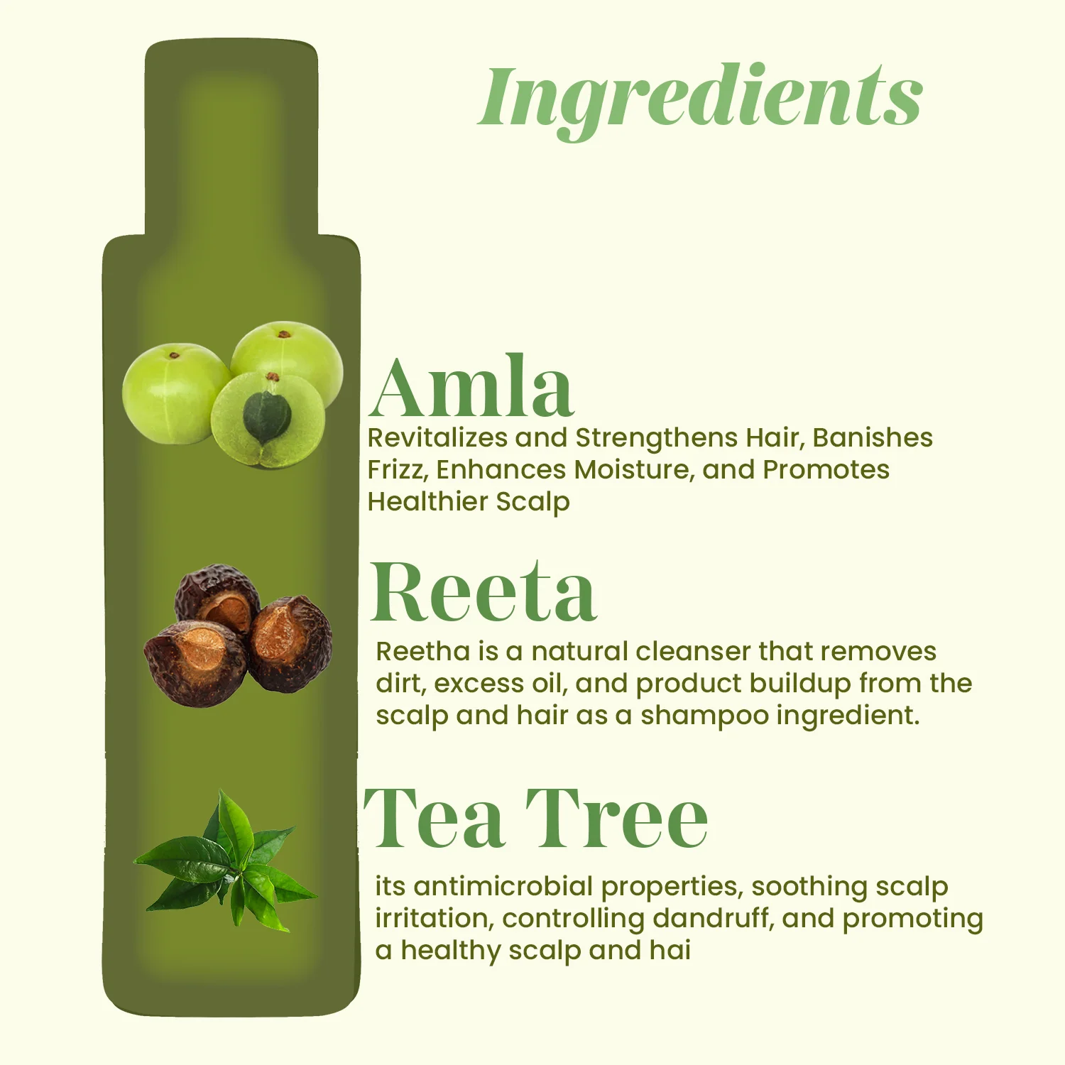 Tea Tree Ritha Amla Shampoo 200ml - Image 4