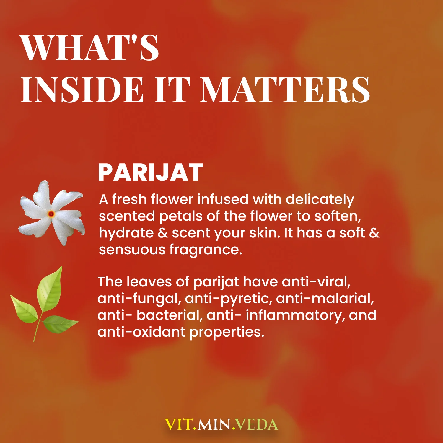 Parijat Herbal Soap Bar - 125gm - Image 5